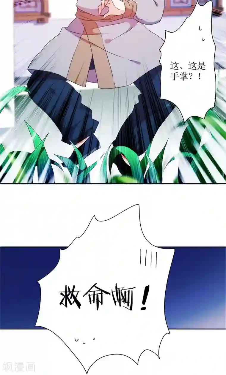 皇后娘娘的五毛特效第94话