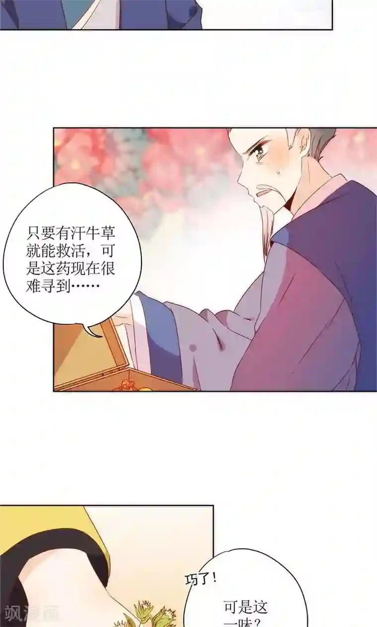 皇后娘娘的五毛特效第101话