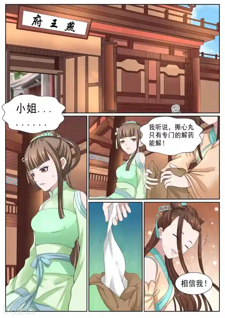 白芷医仙第22话