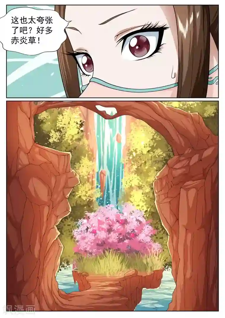 白芷医仙第31话