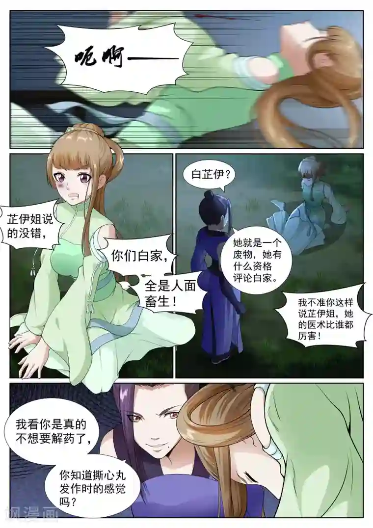 白芷医仙第41话