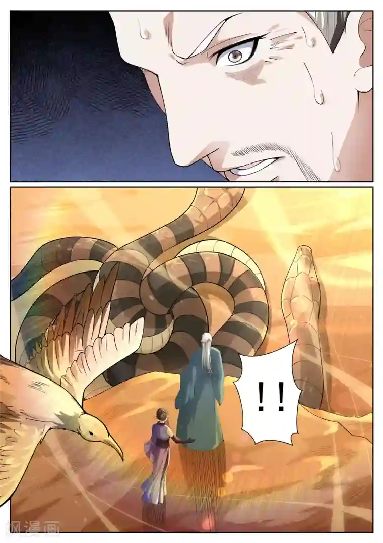 白芷医仙第56话