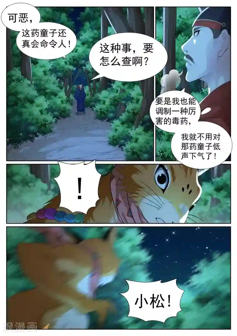 白芷医仙第一季最终话