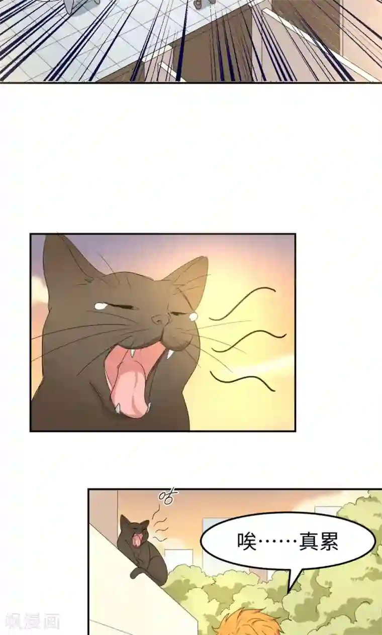 五万一千次旋转第5话 可惜没有可惜