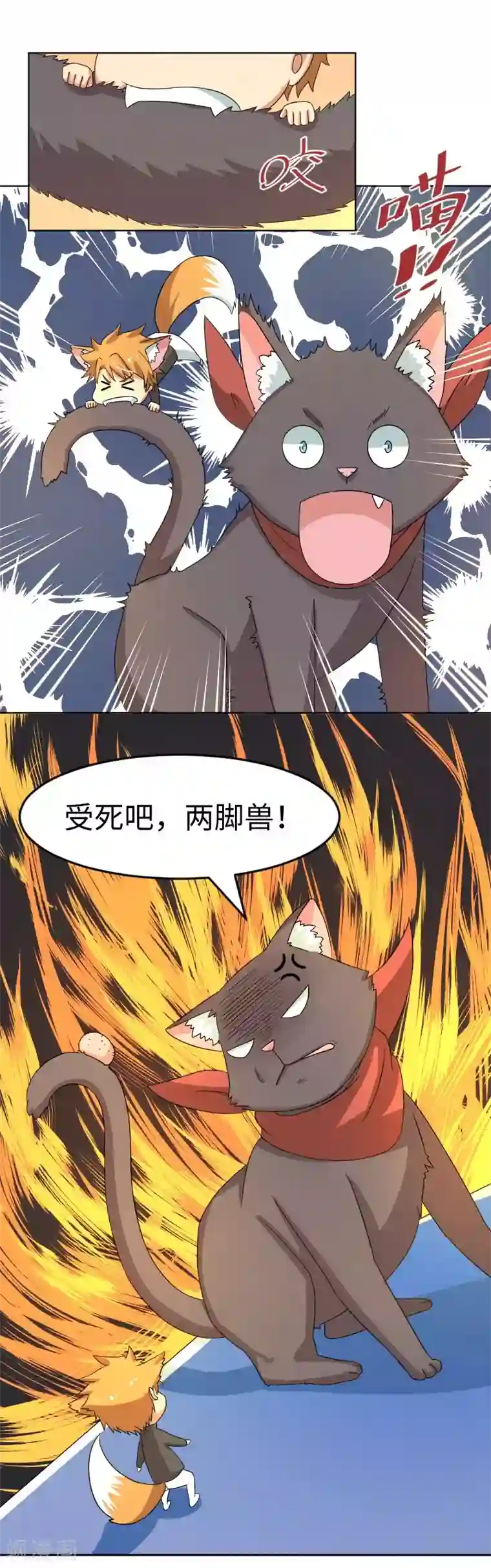 五万一千次旋转小剧场1 歪传：邂逅一只校霸喵