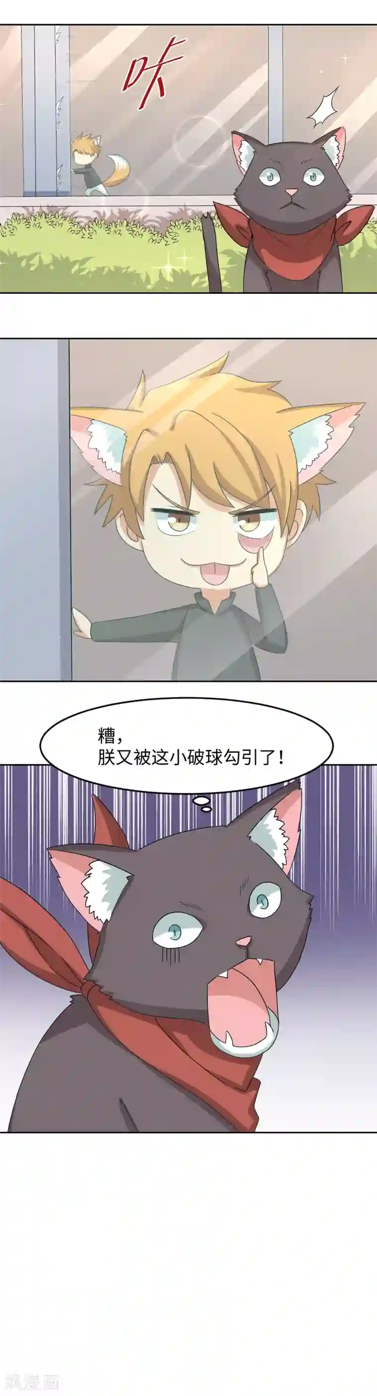 五万一千次旋转小剧场1 歪传：邂逅一只校霸喵