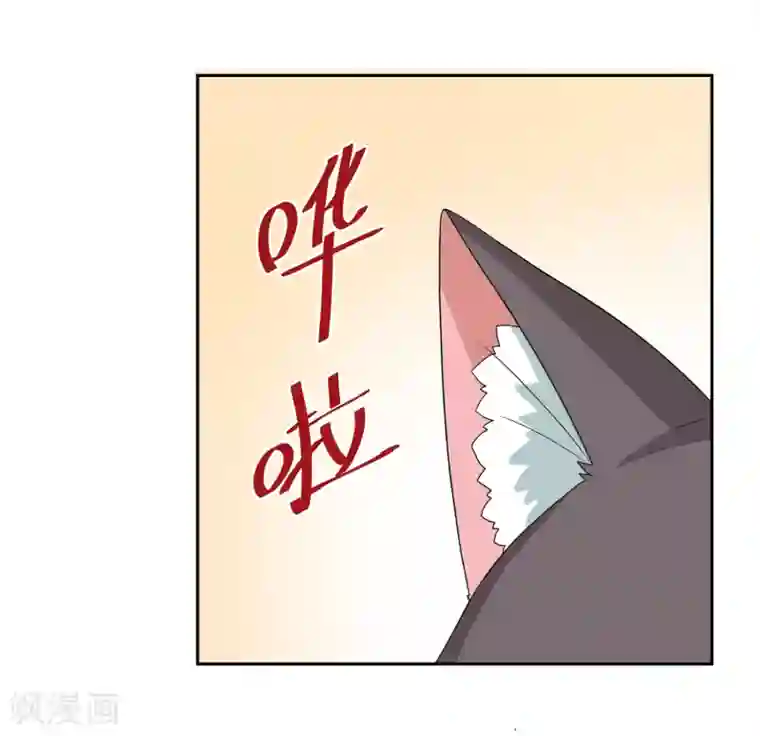 五万一千次旋转小剧场1 歪传：邂逅一只校霸喵