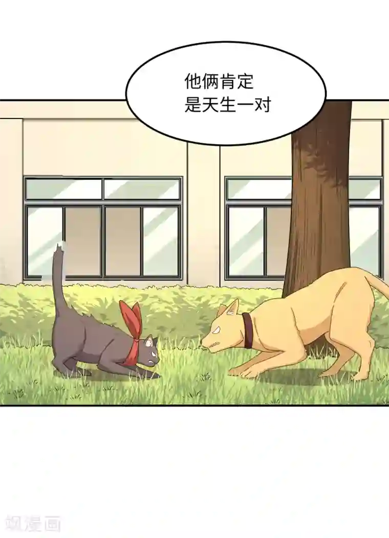 五万一千次旋转第28话 天造地设