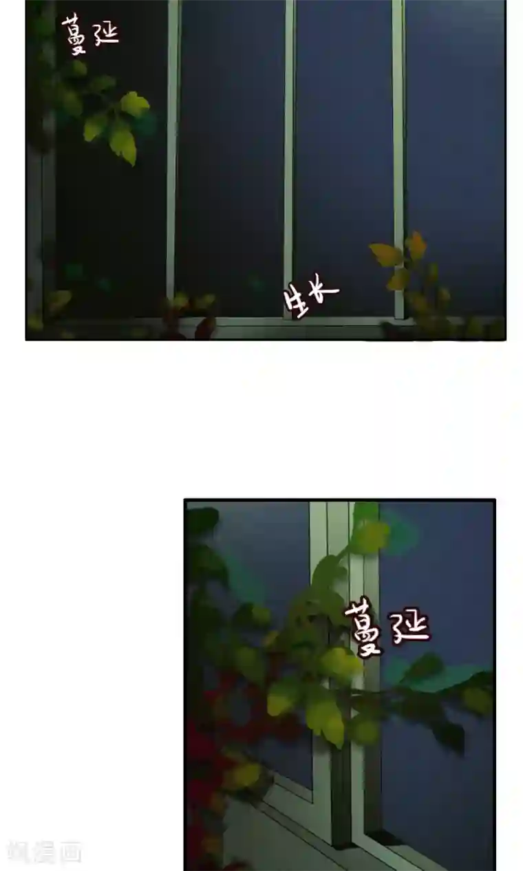 御我者第38话 爬山虎