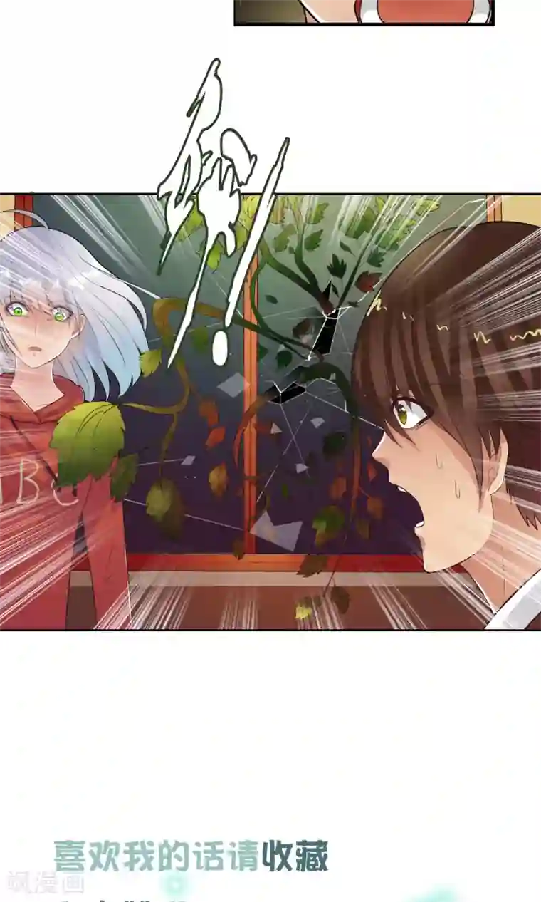 御我者第38话 爬山虎