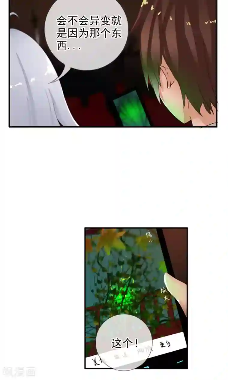 御我者第41话 天陨石的来历