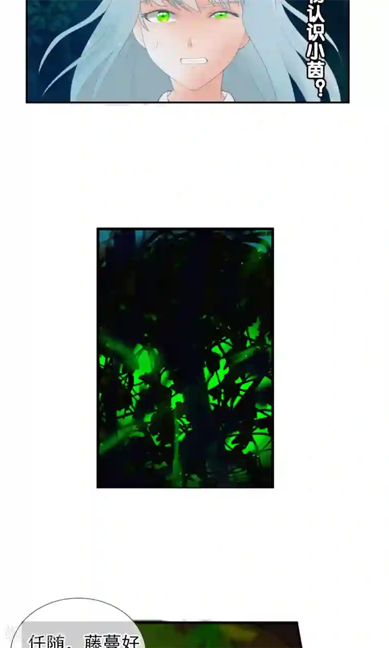 御我者第45话 交给我了！