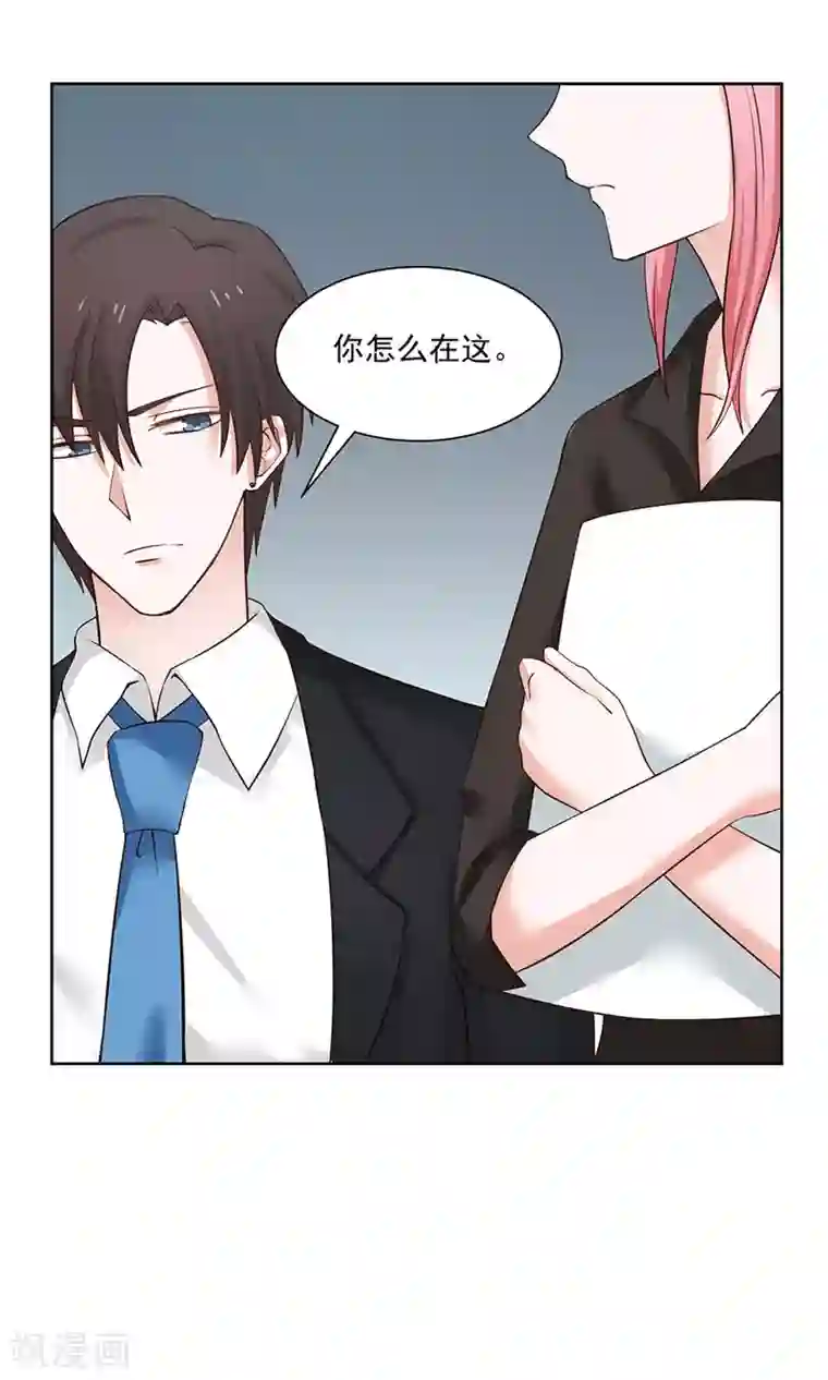 全球缉爱第35话