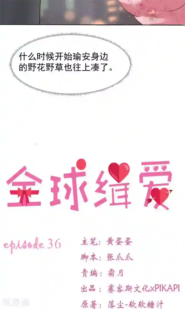 全球缉爱第36话
