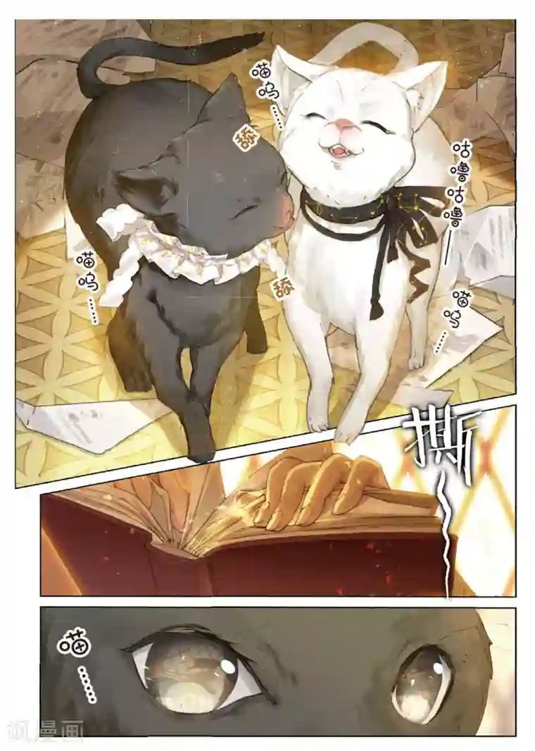 猫箱反转第124话 偷窃时光碎片的魔女孤身诉说的告白