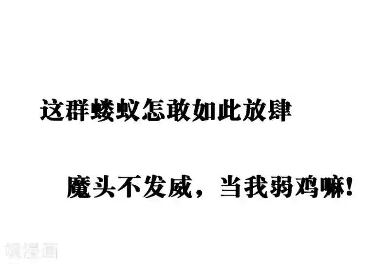 不要打扰我飞升预告