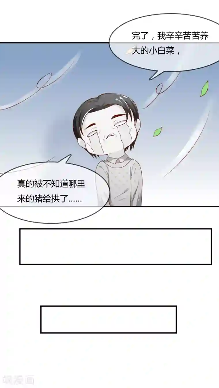 不要打扰我飞升第62话 新的阴谋