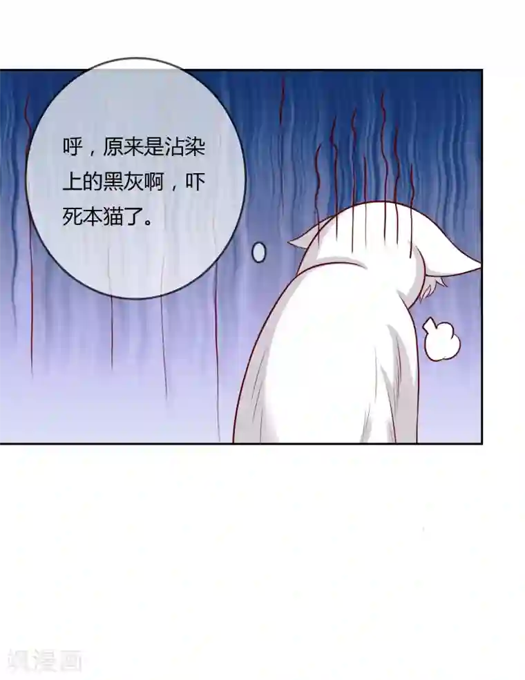 不要打扰我飞升第76话 去抓小耗子