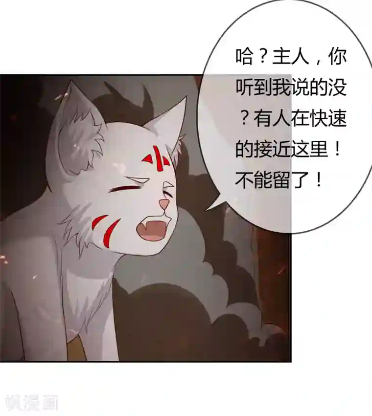 不要打扰我飞升第76话 去抓小耗子