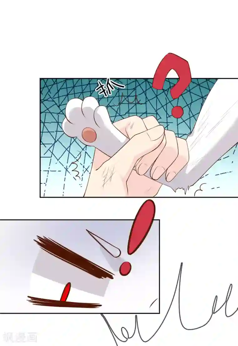 不要打扰我飞升第76话 去抓小耗子