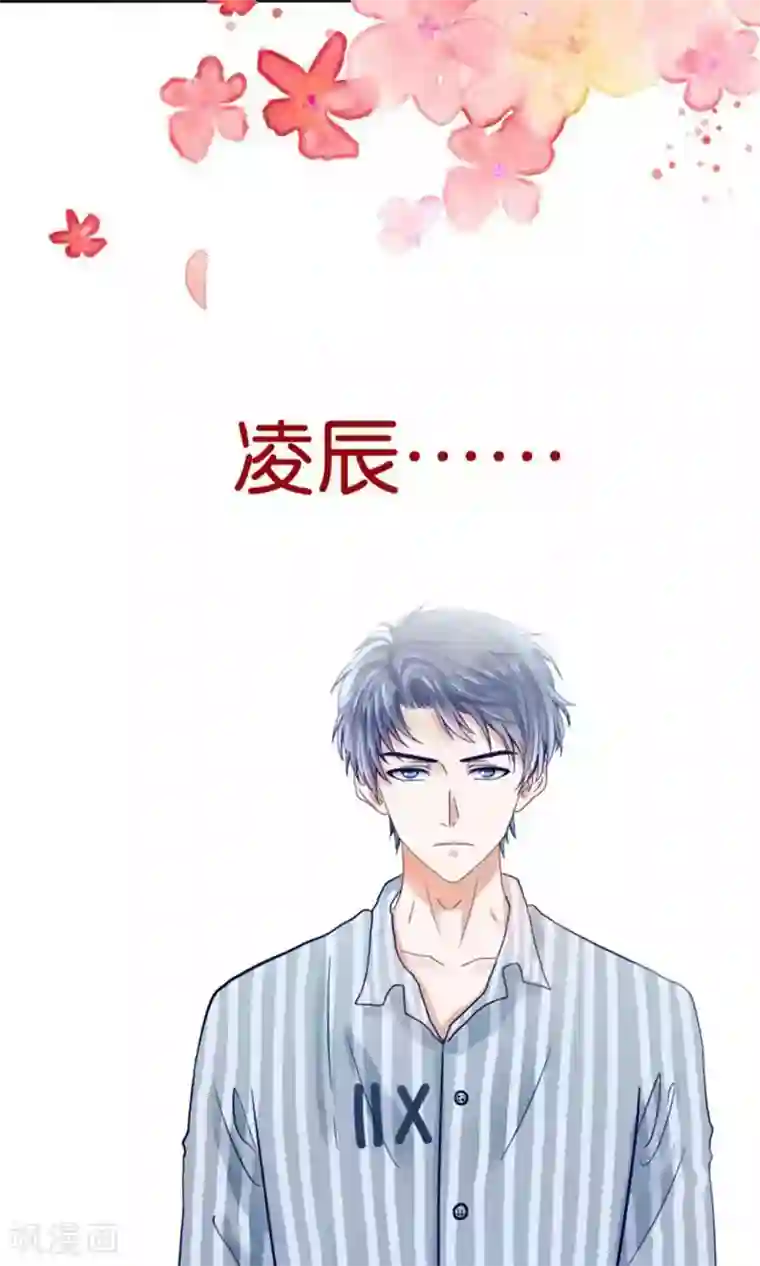 我被国宝盯上了预告