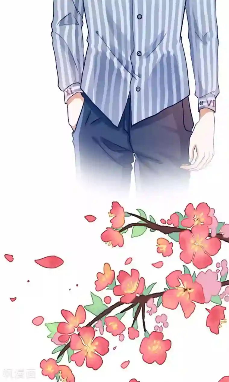 我被国宝盯上了预告