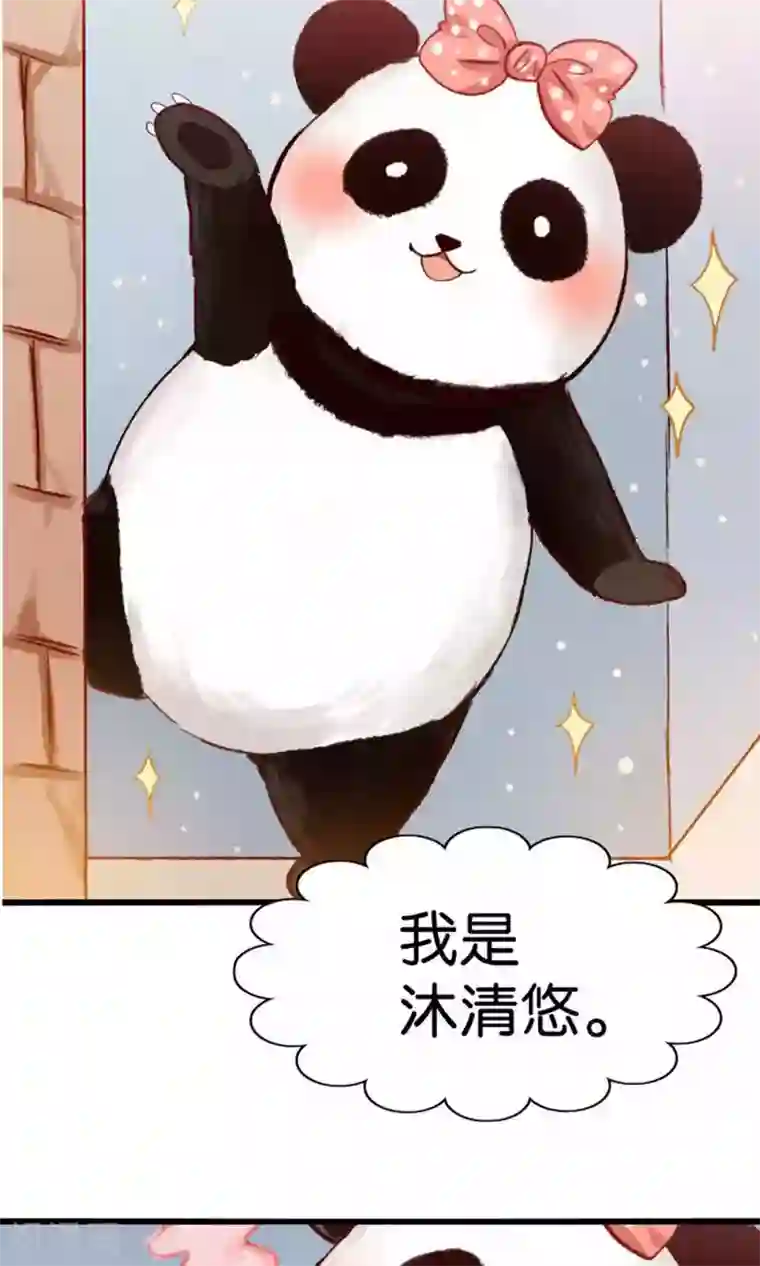 我被国宝盯上了预告