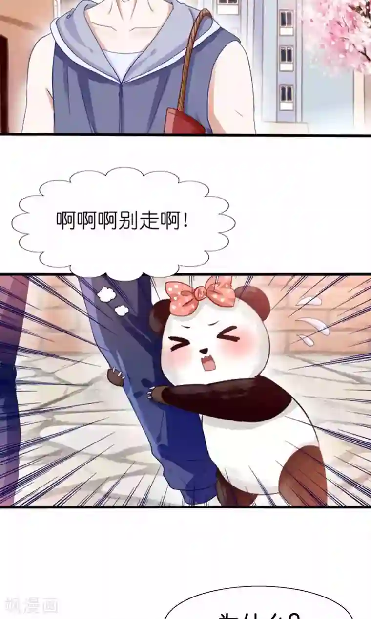 我被国宝盯上了预告