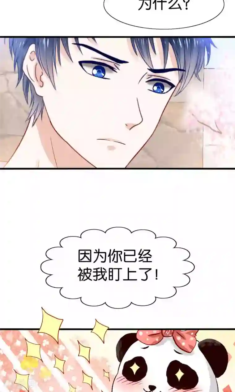 我被国宝盯上了预告