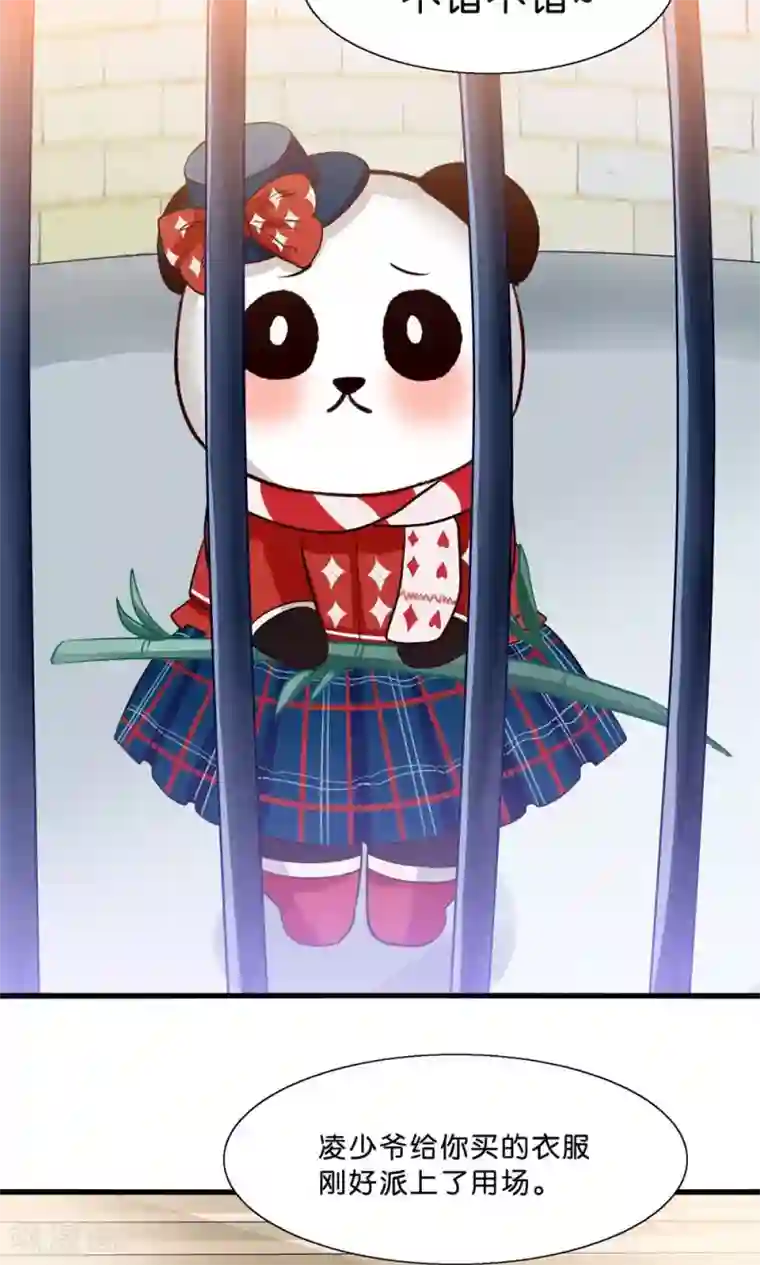 我被国宝盯上了第4话 萌熊拳出击！