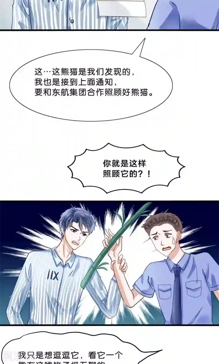 我被国宝盯上了第4话 萌熊拳出击！
