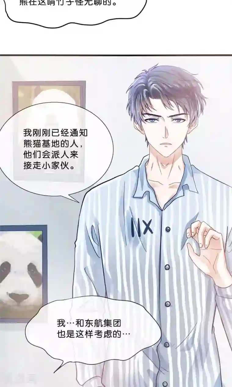 我被国宝盯上了第4话 萌熊拳出击！