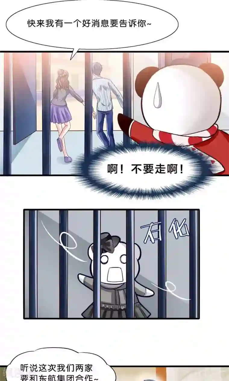 我被国宝盯上了第4话 萌熊拳出击！