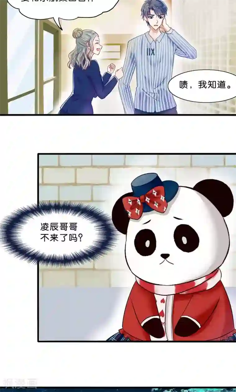 我被国宝盯上了第4话 萌熊拳出击！