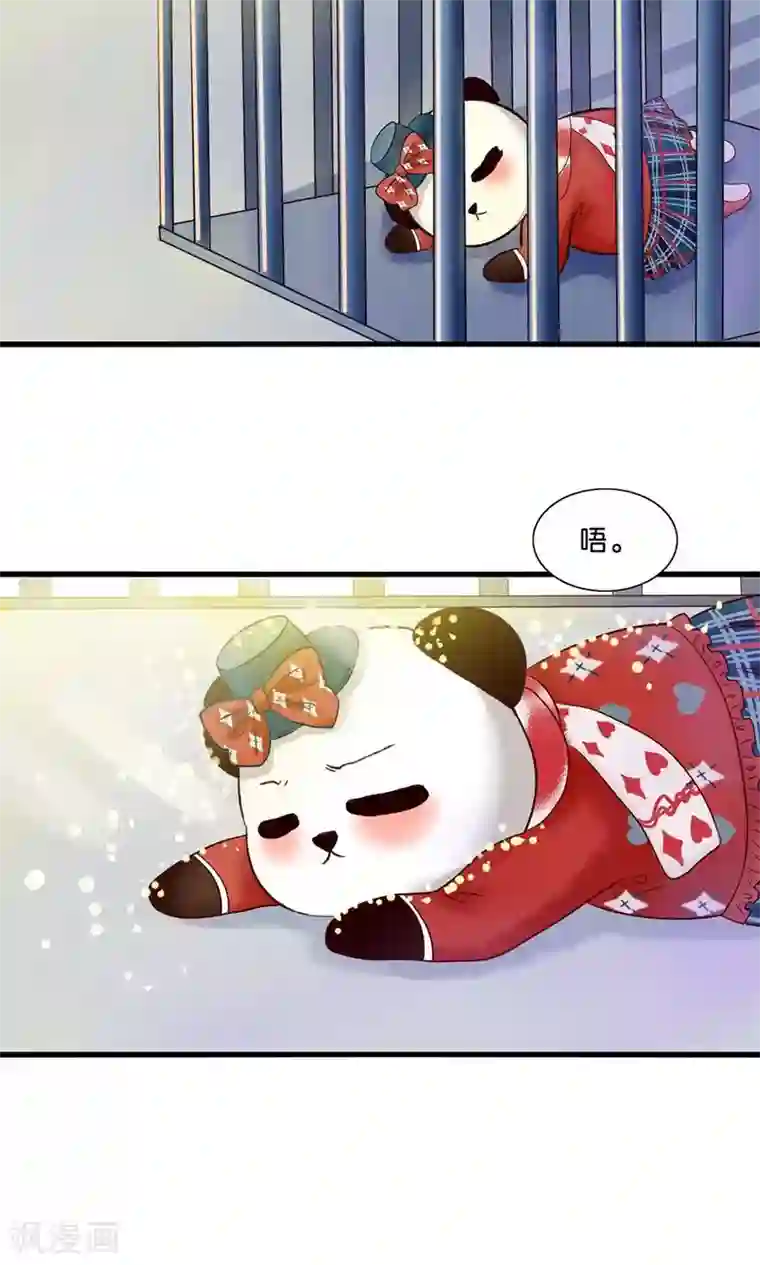 我被国宝盯上了第4话 萌熊拳出击！