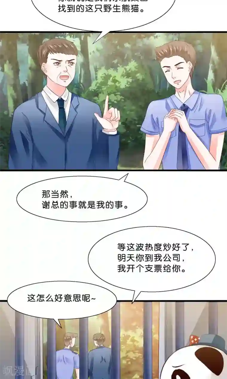 我被国宝盯上了第4话 萌熊拳出击！