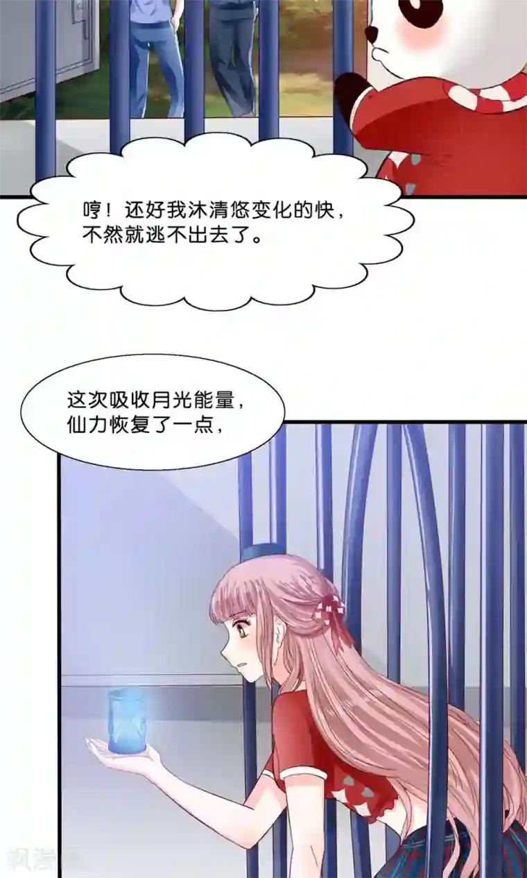 我被国宝盯上了第4话 萌熊拳出击！