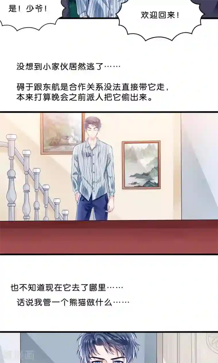 我被国宝盯上了第4话 萌熊拳出击！