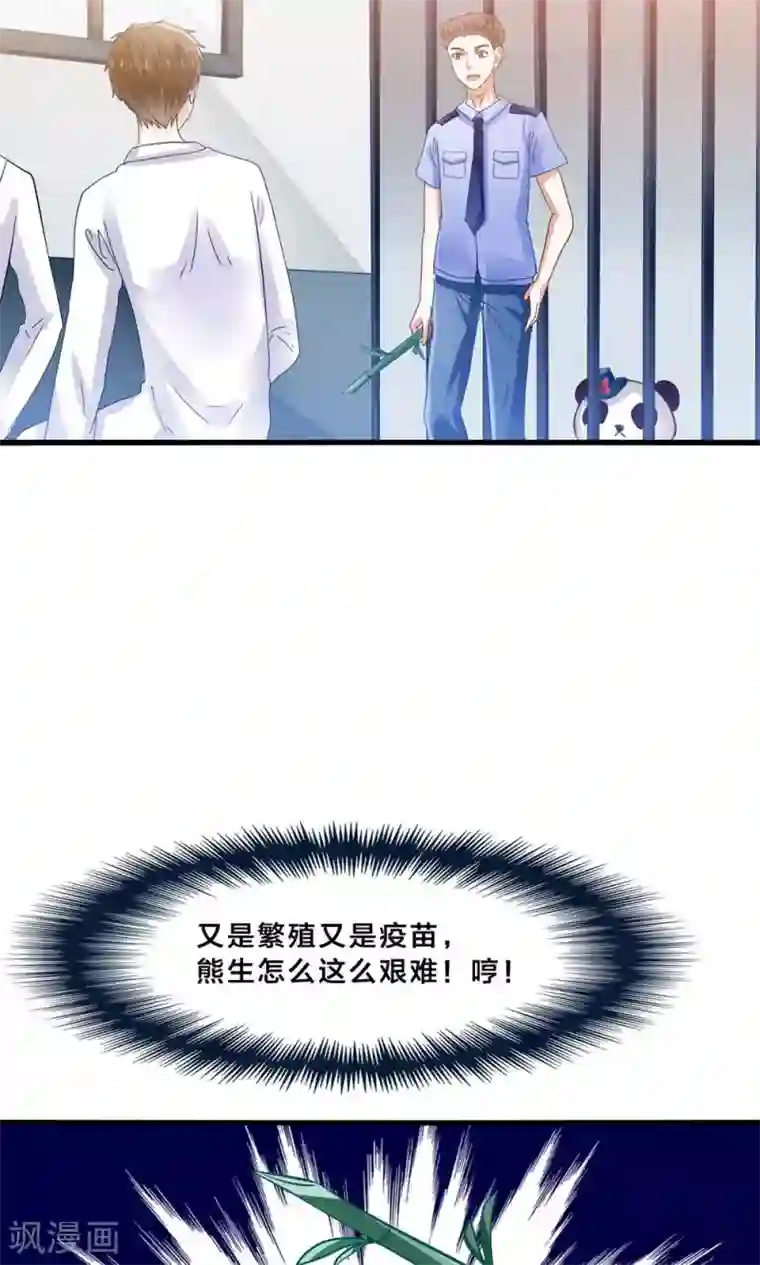 我被国宝盯上了第4话 萌熊拳出击！