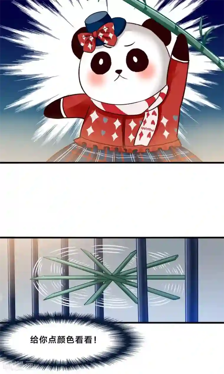 我被国宝盯上了第4话 萌熊拳出击！