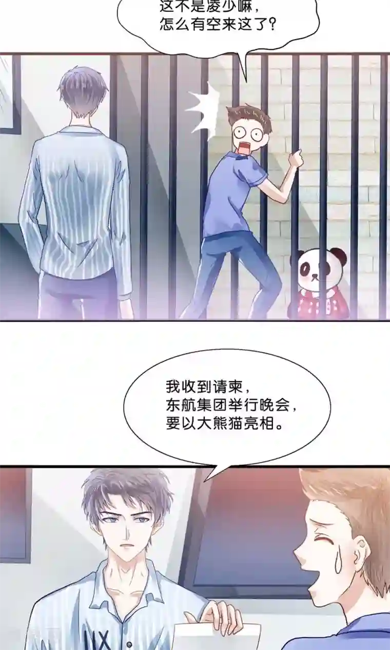 我被国宝盯上了第4话 萌熊拳出击！