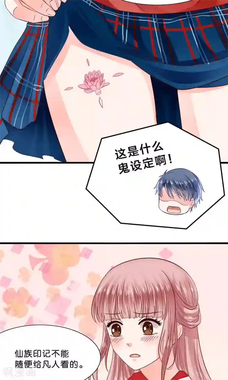 我被国宝盯上了第6话 总裁大人求包养