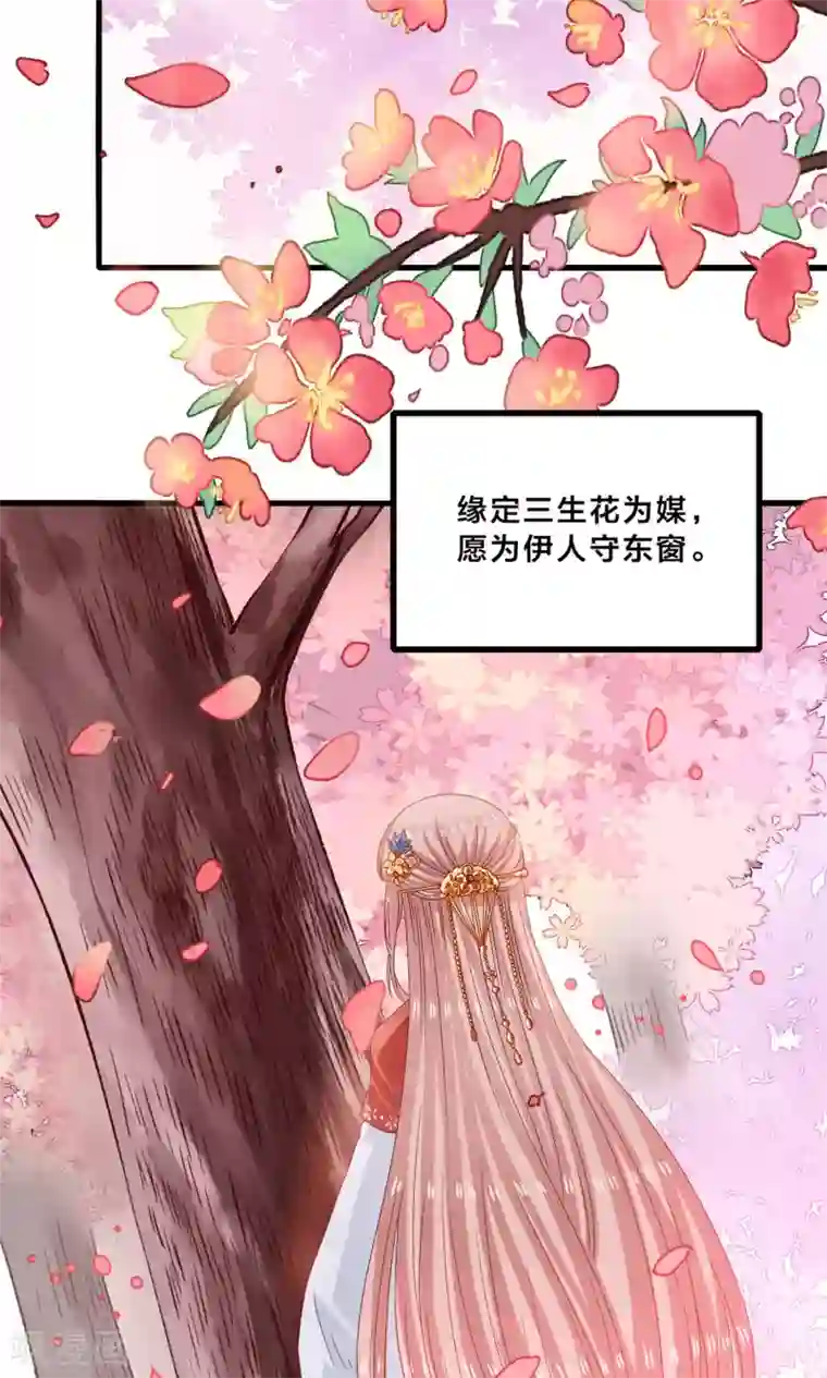 我被国宝盯上了第11话 三生三世彼岸花开