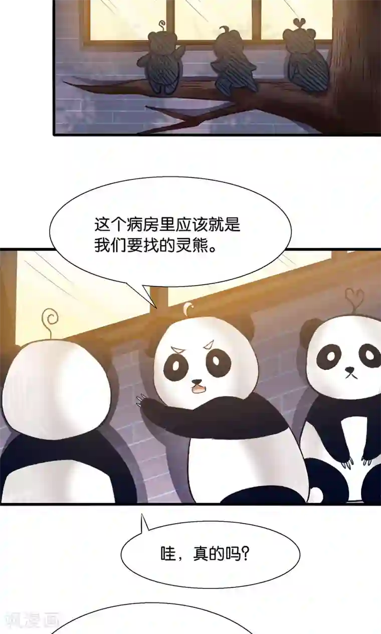 我被国宝盯上了第12话 灵熊出没请注意