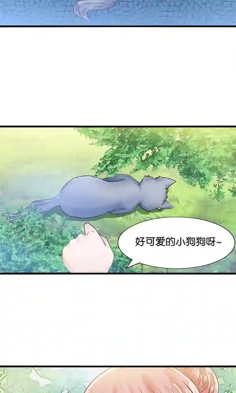 我被国宝盯上了第31话 小狼崽的前尘往事