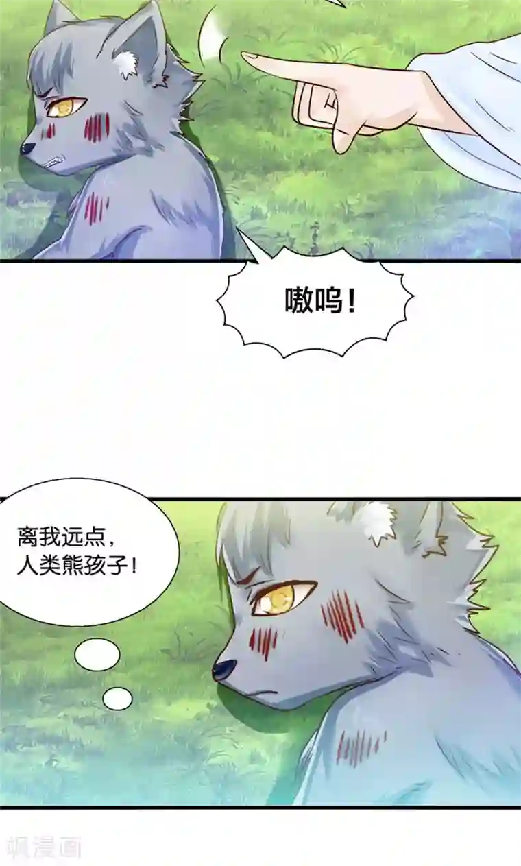 我被国宝盯上了第31话 小狼崽的前尘往事