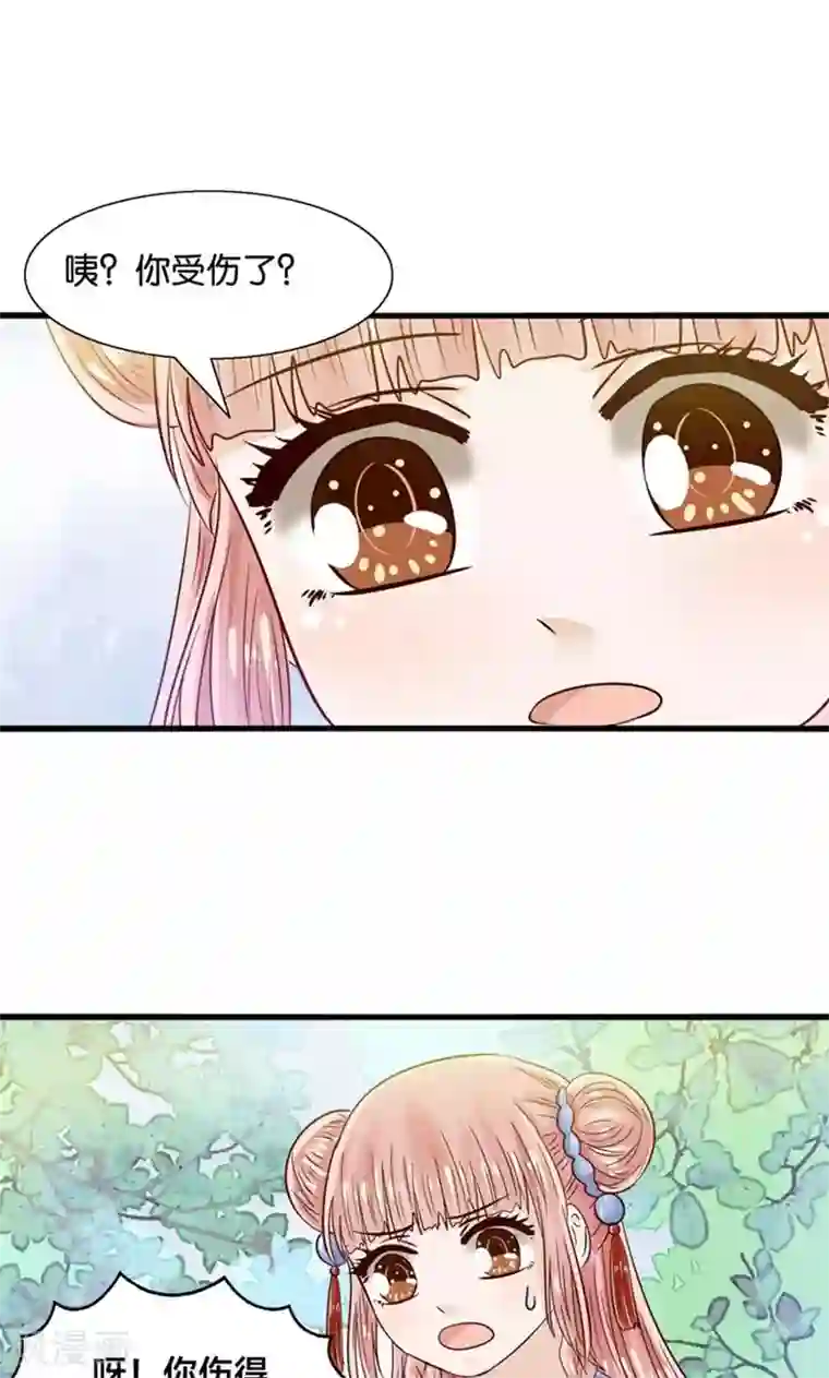 我被国宝盯上了第31话 小狼崽的前尘往事