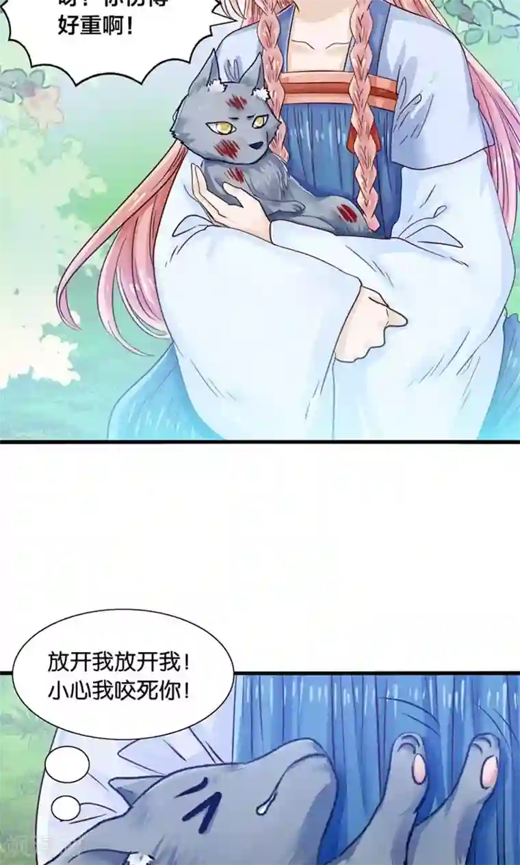 我被国宝盯上了第31话 小狼崽的前尘往事