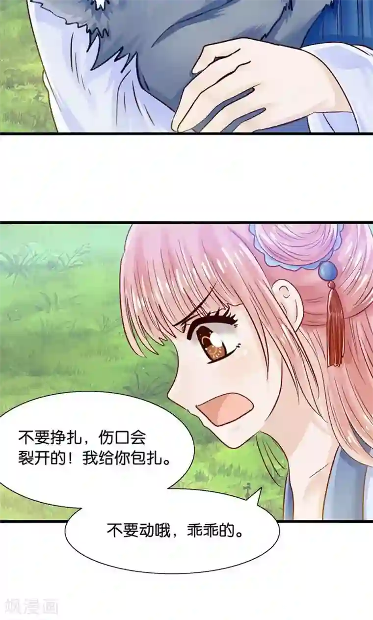 我被国宝盯上了第31话 小狼崽的前尘往事