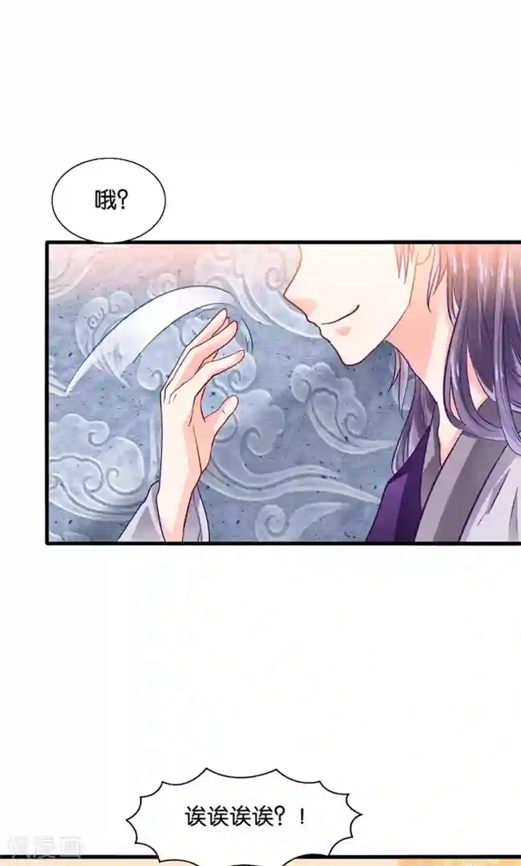 我被国宝盯上了第31话 小狼崽的前尘往事